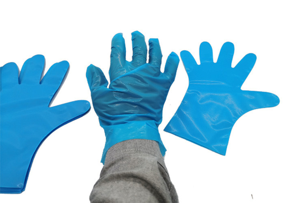 High Elastic TPE CPE Disposable Food Prep Gloves Handling Comfortablely