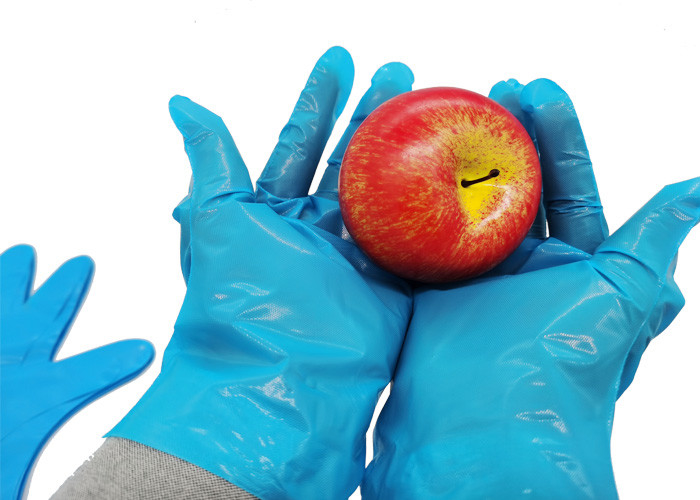 High Elastic TPE CPE Disposable Food Prep Gloves Handling Comfortablely
